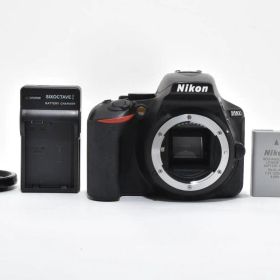 ★極上品★《ショット数6,938回》ニコン Nikon D5600 ボディ #1491F
