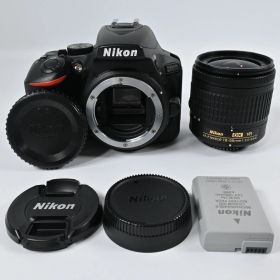 Nikon D5600 AF-P 18-55mm VR レンズキット ショット数 6348回