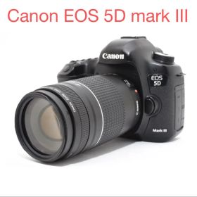 デジタル一眼レフカメラCanon EOS 5D mark III望遠レンズセット