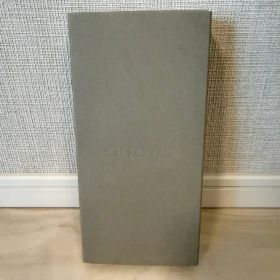 【新品】arrows We2 Plus M06 simフリー シャンパンシルバー