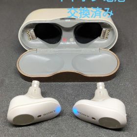 (イヤホンバッテリー交換済) SONYワイヤレスイヤホン WF-1000XM3