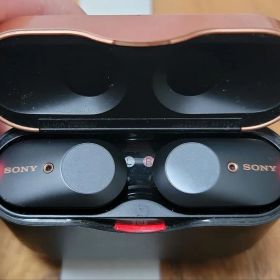 ソニーワイヤレスノイズキャンセリングステレオヘッドセット「WF-1000XM3」