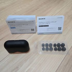 ソニー ワイヤレスノイズキャンセリングイヤホン WF-1000XM3 BM