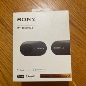 Sony WF-1000XM3