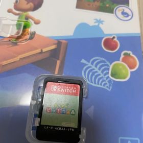 あつまれ どうぶつの森 Nintendo Switch所持ベル多め