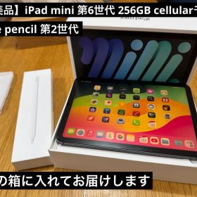 iPad mini 256GB Cellular + Apple pencil