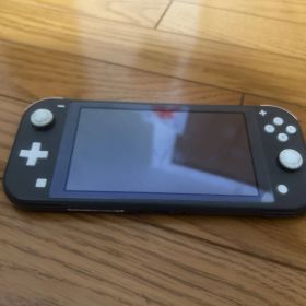 任天堂Switch light