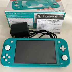 Switch Lite スイッチライト ACアダプター付き