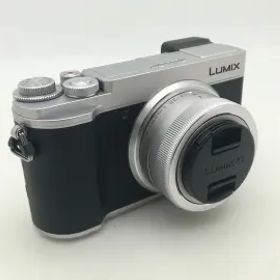 Panasonic LUMIX DC-GX7MK3K-S 標準ズームレンズキット シルバー