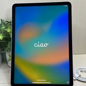 ✅✨超美品✨iPad Air 第4世代❣️256GB