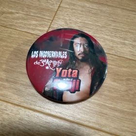 辻陽太 缶バッジ LOS INGOBERNABLES ドミニオンくじ 限定