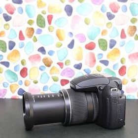 ◇FUJIFILM finepix HS10 ◇高性能コンデジ ◇美品