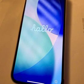 iPhone 13 Pro Max 256GB デュアルSIM おまけケース付き