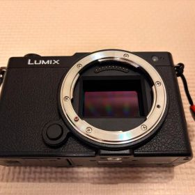 DC-S9 LUMIX ブラック S9 パナソニック