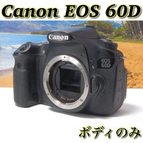 Canon EOS 60D ボディのみ 動作確認済み 初心者〜中級者におすすめ