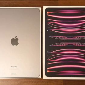 第4世代Apple iPad Pro11インチ シルバー 本体