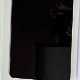 ipadpro11 インチ 第3世代 256G WiFi セルラー