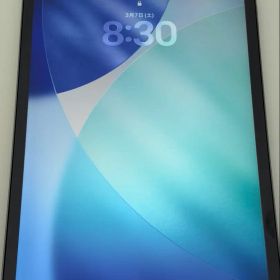 2TB iPad Pro 11インチ M1 cellular 16GB