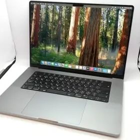 Apple MacBook Pro 16インチ M1 Pro(CPU:10C/GPU:16C) 16GB/1TB スペースグレイ MK193J/A (16インチ, 2021)