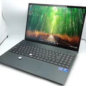 NEC LAVIE Direct NEXTREME Infinity PC-GN268HGAY アルマイトブラック【i9-13900H 32G 1T(SSD) 1GbE WiFi 16OLED(3840x2400)】