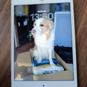 Apple iPad mini（第5世代）シルバー 本体