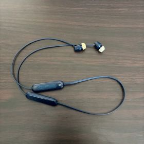 ワイヤレスイヤホン ネイビー SONY WI-C100