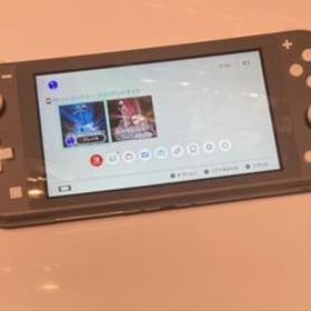 Nintendo Switch Lite グレー ニンテンドースイッチライト ダイパリメイク ver 1.1.1 メニューバグ 伝説色違い オシャボ ミント おうかん