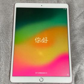 iPad Pro 10.5インチ ローズゴールド 本体
