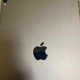 Apple iPadProセット！ (ザラザラフィルム付)10.5インチ64G