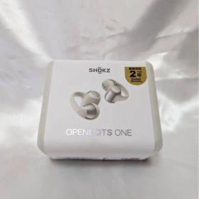 Shokz OpenDots ONE SKZ-EP-000054（グレー）