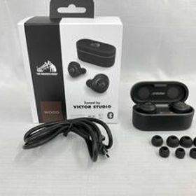 JVC HA-FW1000T イヤホン