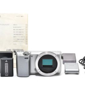 ★動作品★ソニー Sony α NEX-5R シルバー ボディ #1454D