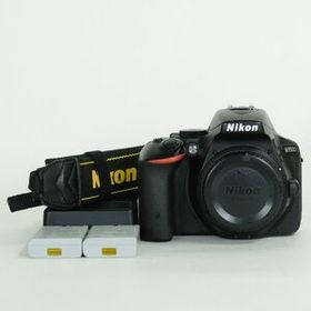 [美品 | シャッター数16,460回｜バッテリー2個付] Nikon D5500 | Nikon Fマウント