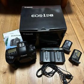 Canon EOS-1DX 本体と付属品 ショット数51000以下 美品 綺麗