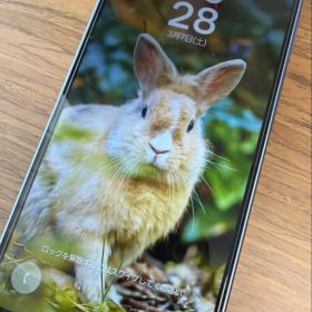 【美品】Samsung Galaxy A25 5G SIMフリー ケース付き