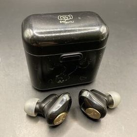 即決 ピエール中野 AVIOT ワイヤレスイヤホン TE-D01d-pnk