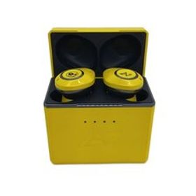 AVIOT◆イヤホン AVIOT TE-D01d mk2-TQ