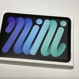 美品 使用期間23日 充放電8回 iPad mini 第7世代 Wi-Fi + CELLULAR 128GB SIMフリー セルラー スペースグレイ