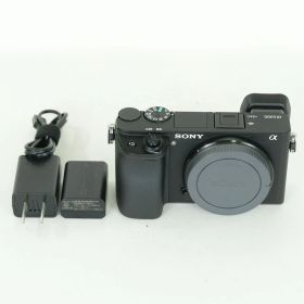 [美品 | シャッター数37,104回] SONY α6300（ILCE-6300） | SONY Eマウント