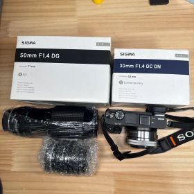 Sony α6300 豪華レンズセット Sigma 50mm・30mm F1.4