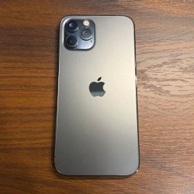 iPhone12 Pro 256GB バッテリー100% (一部機能使用不可