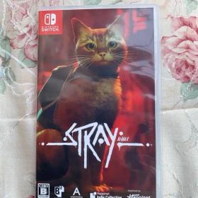 Stray Switch スイッチ