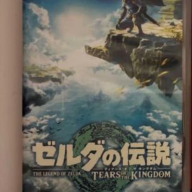 ゼルダの伝説 ティアーズオブ ザ キングダム ソフト
