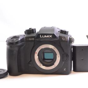 Panasonic パナソニック GH5 ボディ ブラック DC-GH5-K