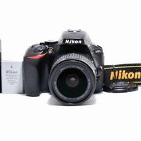 [美品] Nikon ニコン D5600 + AF-P 18-55mm レンズ #2765101