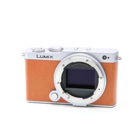 《美品》Panasonic LUMIX S9 ボディ DC-S9