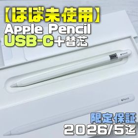 保証あり【ほぼ未使用】Apple Pencil USB-C 替え芯セット