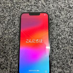 Apple iPhone 13 Pro シエラブルー 本体 ケース付き