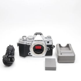 【シャッター回数：14000】オリンパス OM-D E-M5 Mark III ボディ シルバー