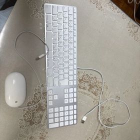 Apple Mouse ホワイトMagic Keyboard テンキー付きセット
